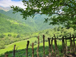 املاک کیان