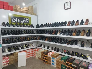 کفش وین 2