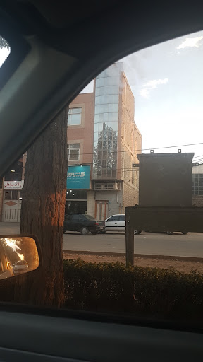 شرکت تولیدی رزمن