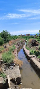 باغ انار