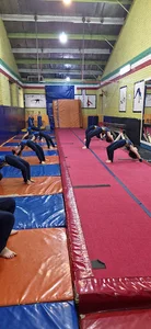 آکادمی ژیمناستیک مهدی شفائی - Mehdi Shafaei Gymnastics Academy