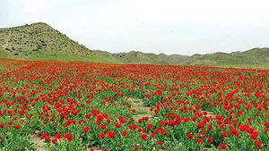 راز و جرگلان سرزمین کوه‌ها و دره‌های رازآلود