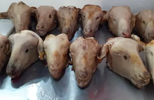سوپر گوشت متین 3