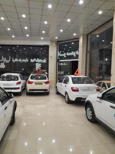 نمایشگاه اتومبیل مسعود 2