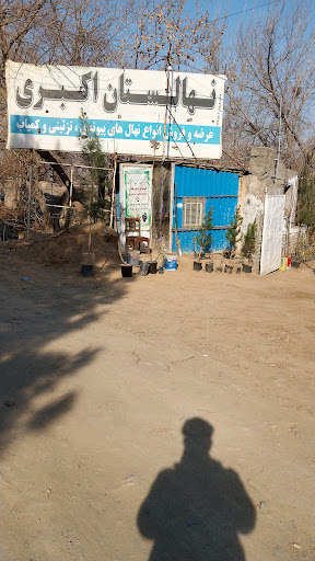 نهالستان محسن اکبری