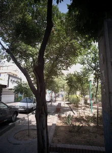 املاک نمونه