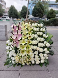 باغ رز