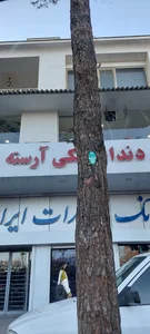 کلینیک دندانپزشکی آرسته شیراز 2