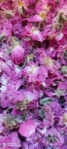 بازرگانی گیاهان دارویی عسکری( پخش عمده انواع گیاهان دارویی با کیفیت)