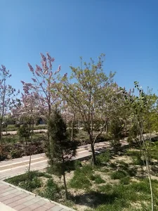 بوستان نگارستان