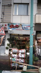 گلکده ستیا