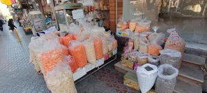 آنجل آکواریم 2