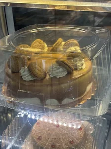 شيرينى آريانا يزدى
