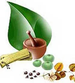 پژوهشکده رویال