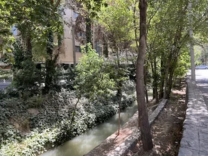 پارک سودابه