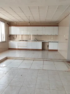 شاهین مرادی 5