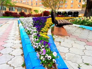 شهرداری منطقه ۷ تبریز 5