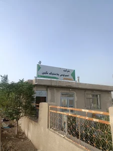 اسپرلوس پلاستیک نگین