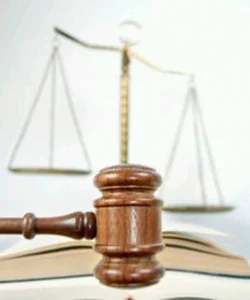 وکیل مینا پاشنا
