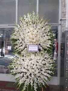 گالری گل وگیاه، سلطان 2