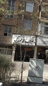 عینک قاصدک