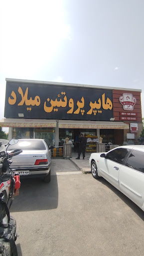 هایپر پروتئین میلاد