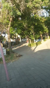 فضای سبز