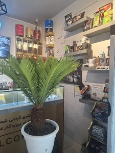 کافه گلدن