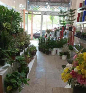 گل فروشی شهرگل