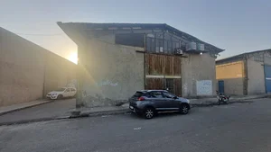 بوف پلاست