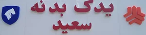 یدک بدنه سعید