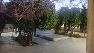 مسجد باقرآباد