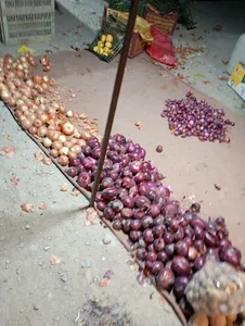 شنبه بازار ارم