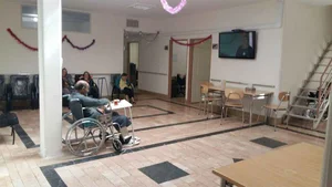 بانو نسیبه تفرش