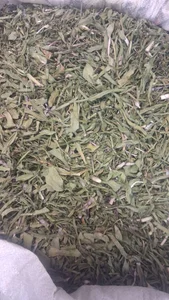 آجیل و سوغات سرای حاج اصغر باقر پور 4