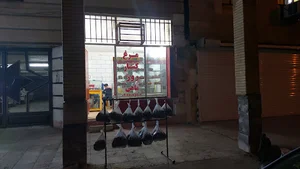 پلاسکو مهدی