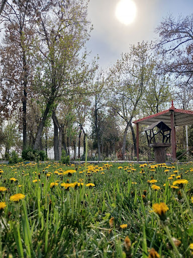 پارک جنگلی شهید صیاد شیرازی شیروان