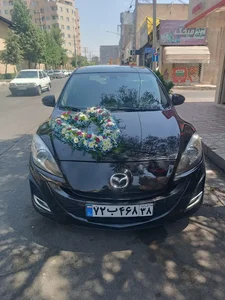 گلسرای مادر 4
