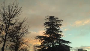 بوستان سه گوش
