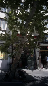 رنگ 110 3