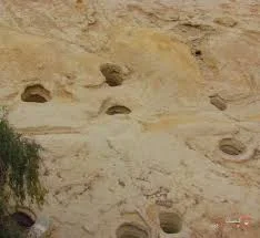 کافی نت مرکزی