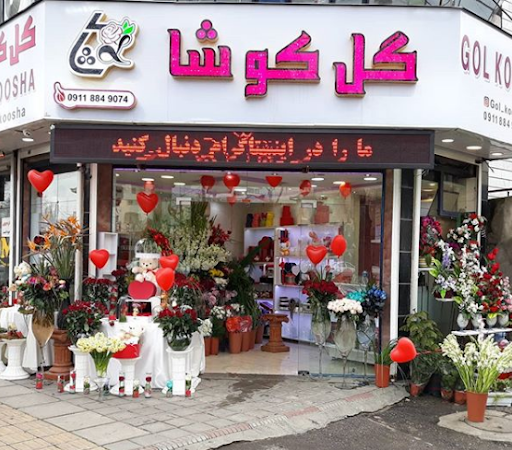 گل کوشا