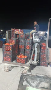 میدان میوه و تره بار میناب