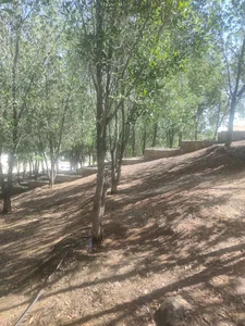منتزه البلدية طريق الكسفه