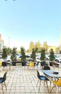 فست فود بست برگر