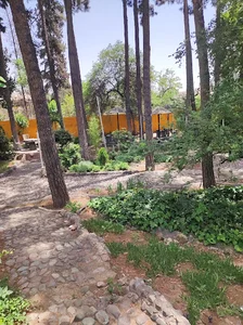 بوستان ژاپنی