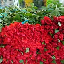 گل فروشی و نهالستان بهشت
