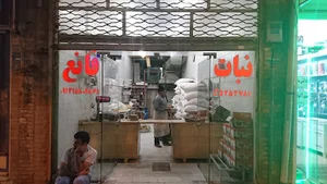 نبات ریزی قانع