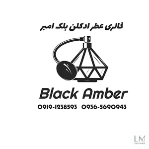 گالری عطر ادکلن بلک امبر