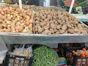 میوه فروشی جوکار 2